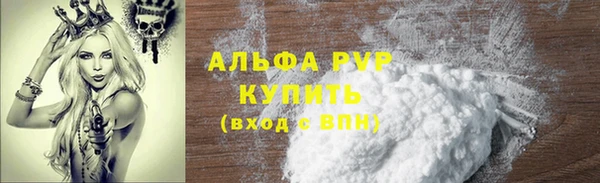 дурь Бородино
