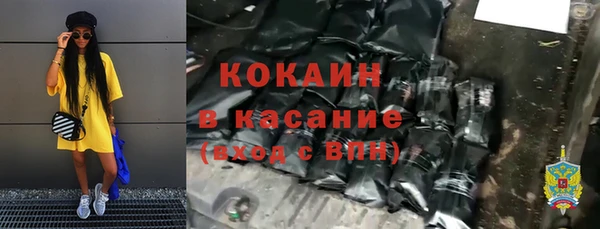 гидра Елабуга