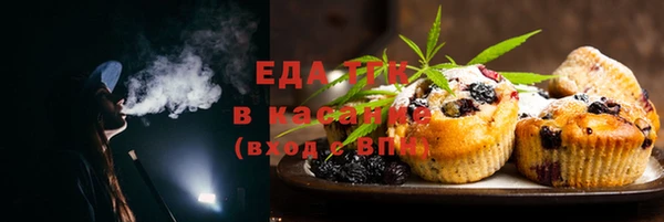 дурь Бородино