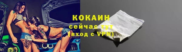 дурь Бородино