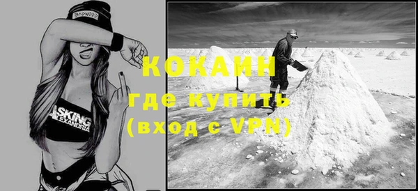 дурь Бородино